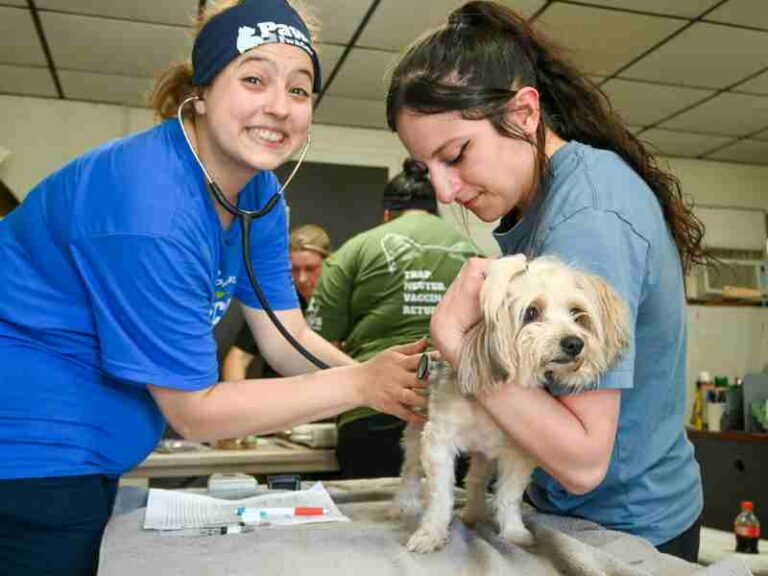 doctor giving exam