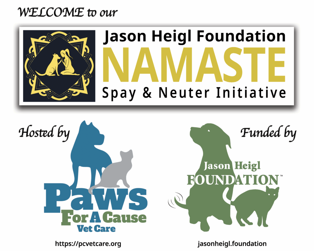 flyer for namaste day event
