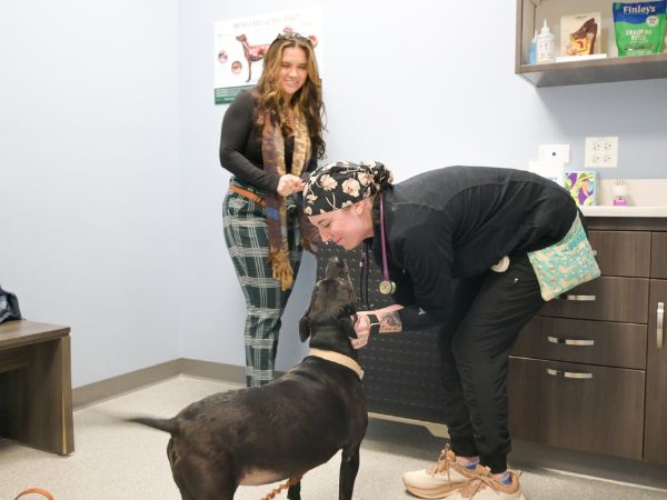 pet with technician and owner