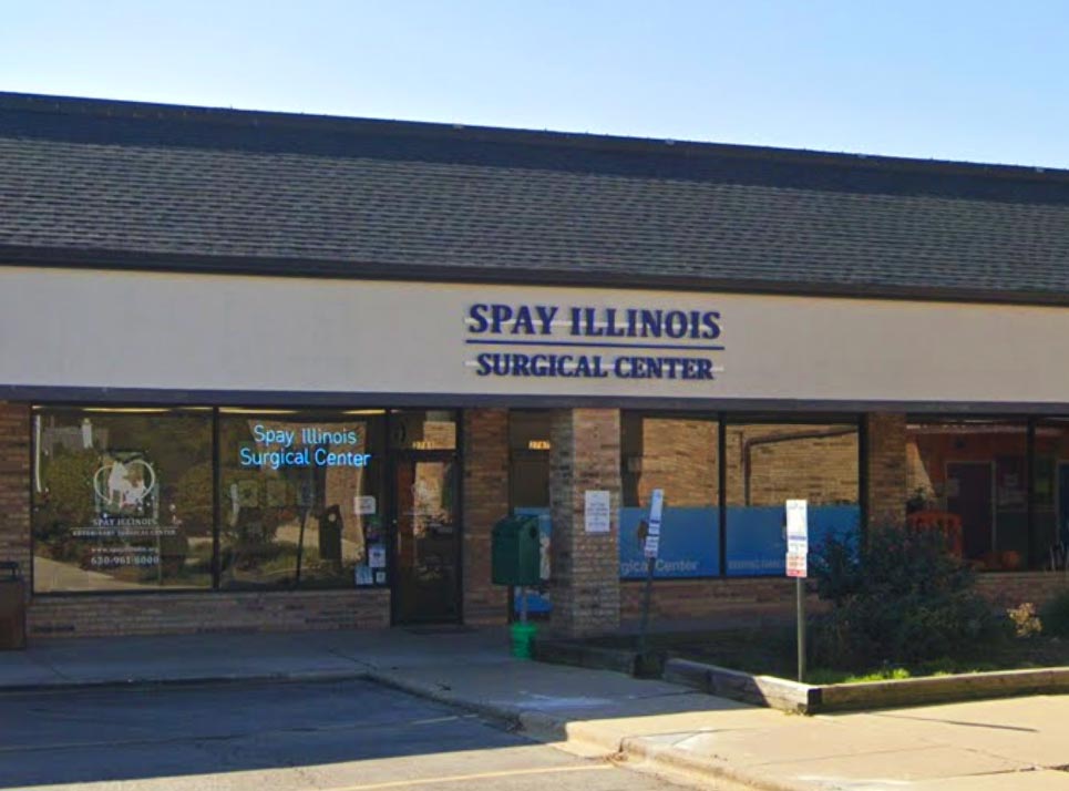 The old Spay Illinois Surgical Center