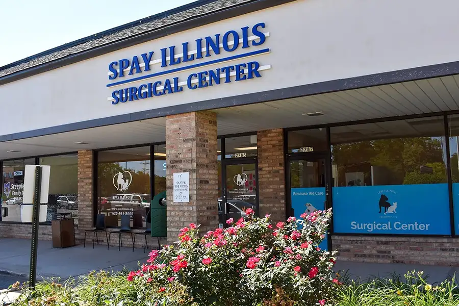 Spay Illinois Surgical Center - now Paws for a Cause Vet Care