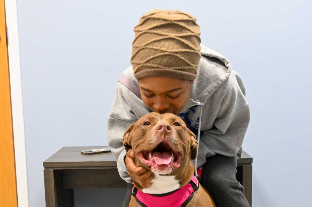 pet owner kissing dog