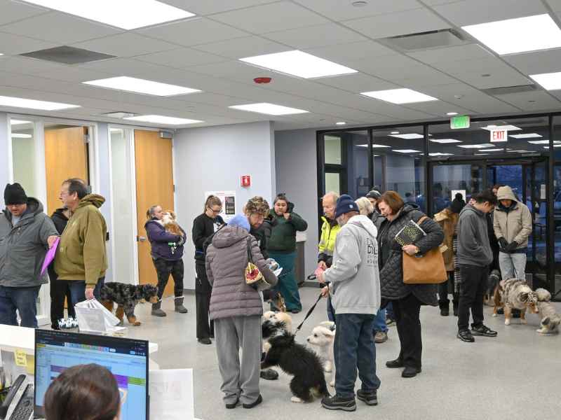 paws for a cause vet care crowded lobby